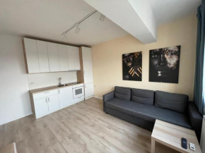 Coral Luxury Apartment Near Presidential Palace